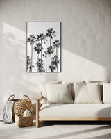 Monochrome Palms